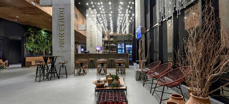 宜必思尚品马塞约帕尤卡拉酒店(Ibis Styles Maceió Pajuçara)图片