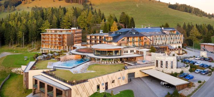 皮尔康体酒店(Almwellness Hotel Pierer)图片