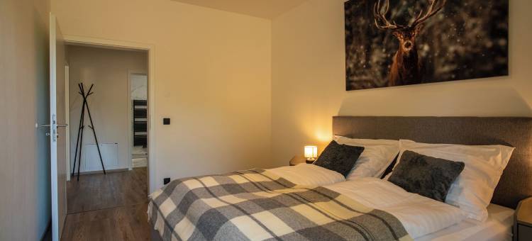 Resort JEZERNÍ Apartmány & Penzion Wellness图片