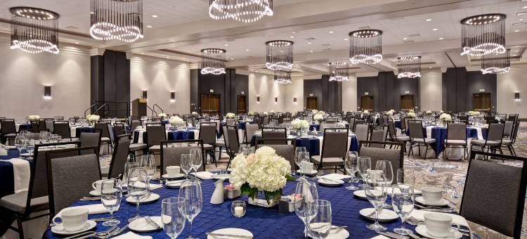 罗利达勒姆三角研究园希尔顿安泊酒店(Embassy Suites by Hilton Raleigh Durham Research Triangle)图片