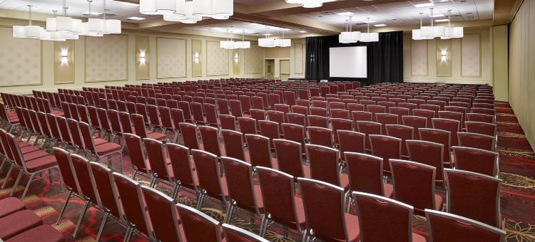 西埃德蒙顿希尔顿逸林酒店(DoubleTree by Hilton West Edmonton)图片