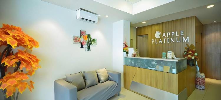 旗舰101苹果白金(Flagship 101 Apple Platinum)图片