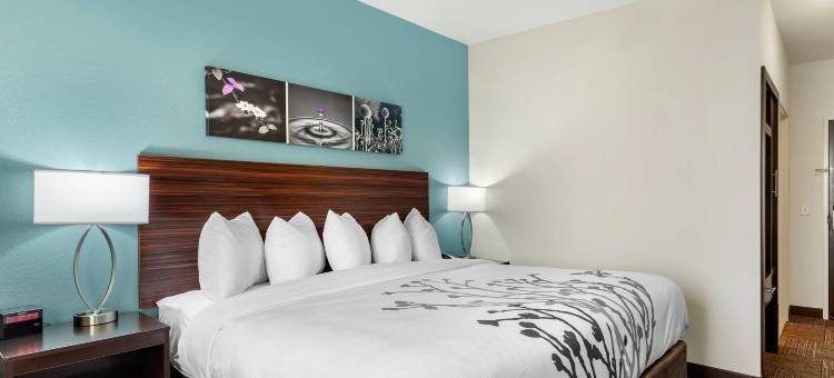 达拉斯南兰开斯特舒眠酒店(Sleep Inn Lancaster Dallas South)图片