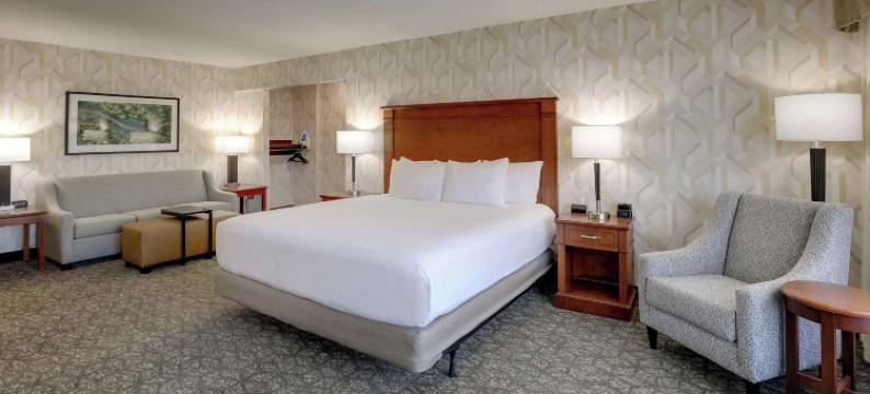 夏洛特大学德鲁里套房酒店(Drury Inn & Suites Charlotte University Place)图片