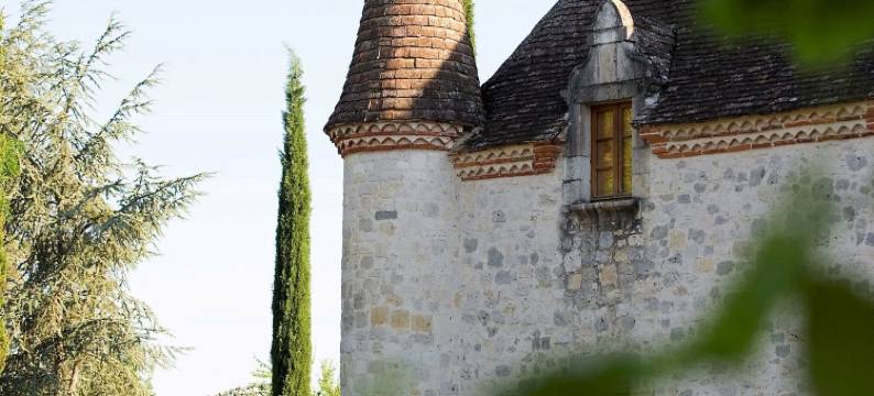 Château in Nouvelle-Aquitaine with Pool & Views图片