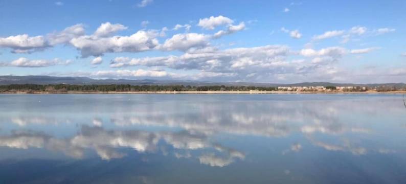 Wine Country Family Villa图片