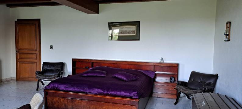 Holiday Home in Vieure near Lake and Garden图片