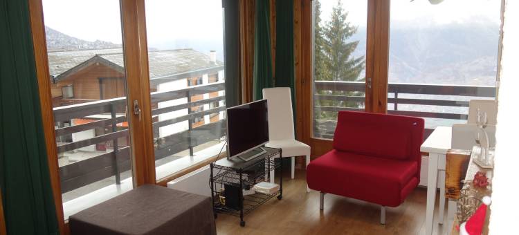 2-room apartment in Veysonnaz图片