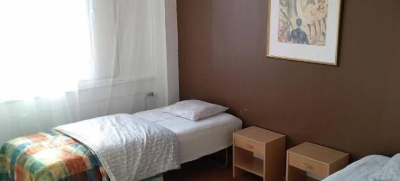 伊卡哈尼酒店(Hotelli Ikahani)图片