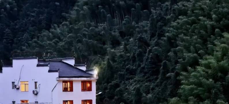 云梯小筑·中式原木风观山景休闲度假 Villa 民宿(云和梯田景区店)图片