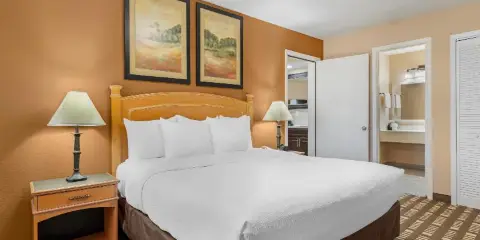 普萊諾東凱藝套房酒店-理查森