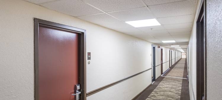 红顶酒店-诺克斯维尔中心佩柏米尔路(Red Roof Inn Knoxville Central - Papermill Road)图片