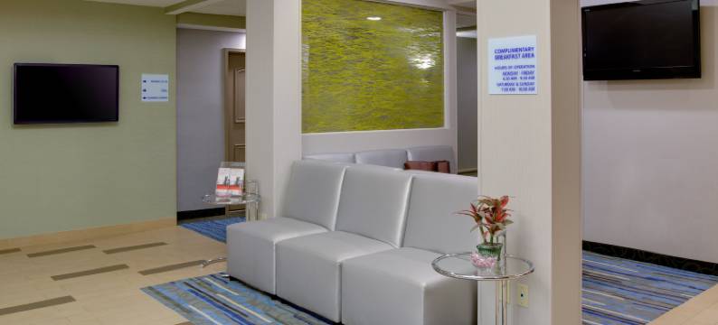 梅多兰兹地区智选假日套房酒店(Holiday Inn Express & Suites MEADOWLANDS AREA by IHG)图片