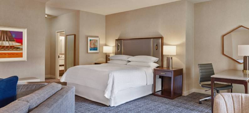 音乐城喜来登酒店(Sheraton Music City Nashville Airport)图片