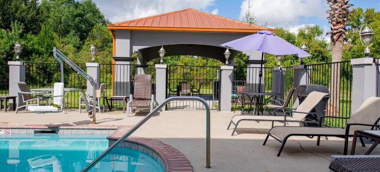 石油中心舒适套房酒店(Comfort Suites Oil Center)图片