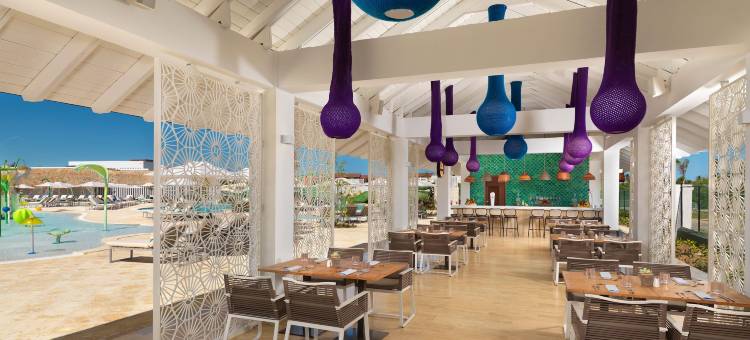 巴瓦罗帕尔马皇家芭拉迪莎酒店(Paradisus Grand Cana)图片