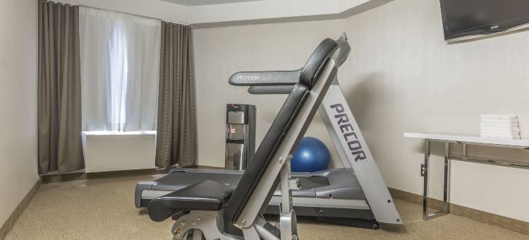 莱维斯舒适酒店(Comfort Inn)图片