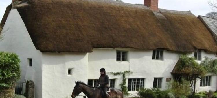 诺特利阿姆斯旅馆(Notley Arms Inn Exmoor National Park)图片