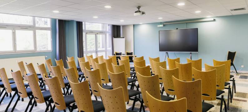 马尔利奥布洛斯别墅Spa酒店(Hotel & Spa Vacances Bleues Villa Marlioz)图片