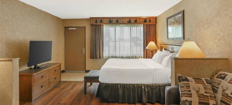 凯利贝斯特韦斯特优质套房酒店(Best Western Plus Kelly Inn  Suites)图片