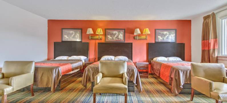 OYO 棕榈叶汽车旅馆(OYO Palm Leaf Motel)图片