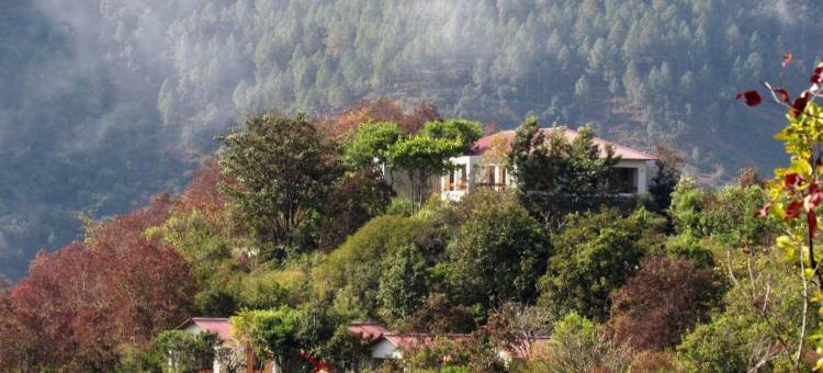 神秘喜马拉雅奥兰亚酒店(Auranya: the Himalayan Jungle Retreat)图片