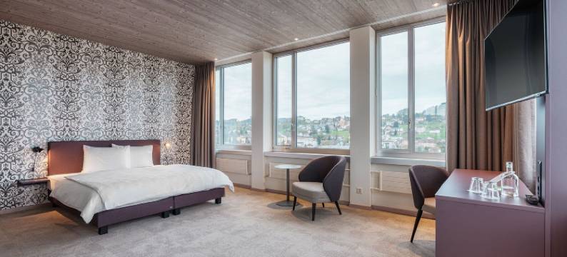 bsmart酒店门齐肯(Bsmart Hotel Menziken)图片