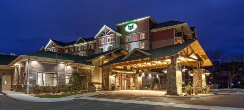 鸽子谷黑狐酒店，希尔顿启缤精选(Black Fox Lodge Pigeon Forge, Tapestry Collection by Hilton)图片