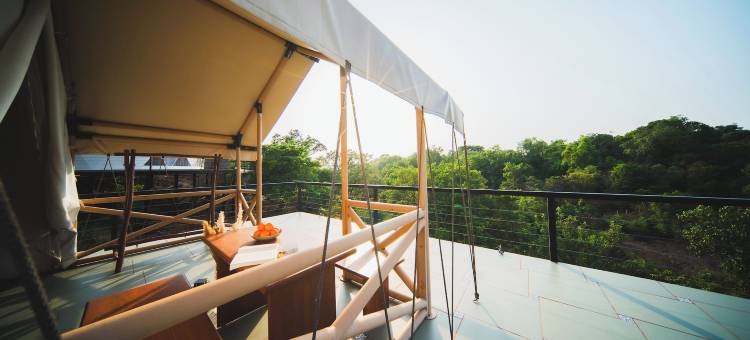 圣人小住与小径(Sage Stays and Trails)图片