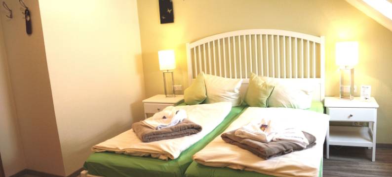 韦尼格罗德普法尔泽霍夫雷吉奥酒店(Regiohotel Pfälzer Hof Wernigerode)图片