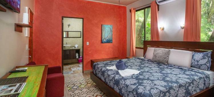 卡萨德尔阿布罗树屋(限成人)(Hotel Casa del Arbol Manuel Antonio - Adults Only)图片