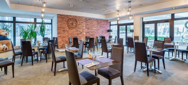 格勒诺布尔中心诺富特酒店(Novotel Grenoble Centre)图片