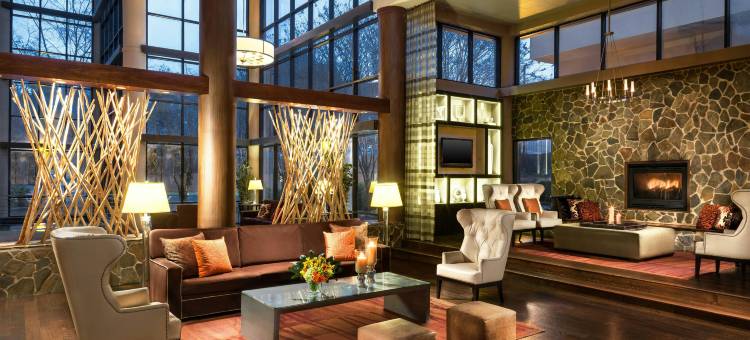夏洛特机场喜来登酒店(Sheraton Charlotte Airport Hotel)图片