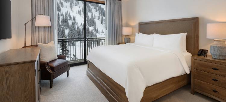 斯洛帕尼小屋(The Snowpine Lodge)图片
