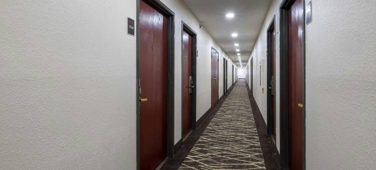 朴茨茅斯诺福克红顶酒店(Red Roof Inn Norfolk - Portsmouth)图片