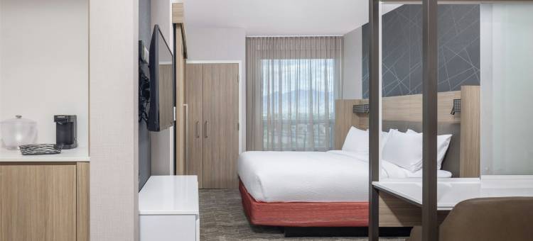 SpringHill Suites套房酒店图森The Bridges(SpringHill Suites Tucson at the Bridges)图片