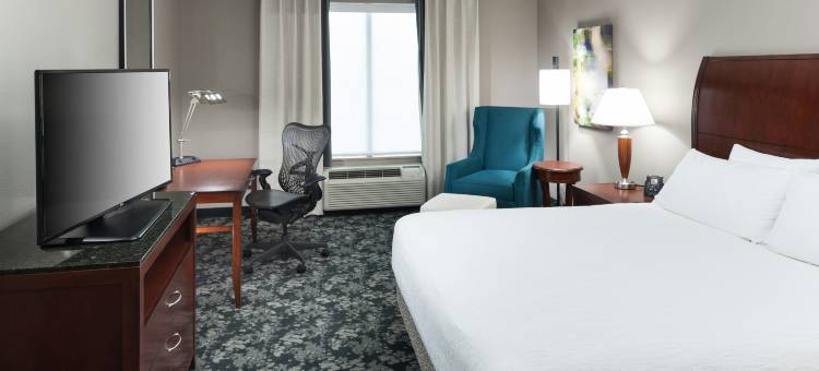 弗赖拉辛达拉斯希尔顿花园酒店(Hilton Garden Inn Dallas Frisco)图片