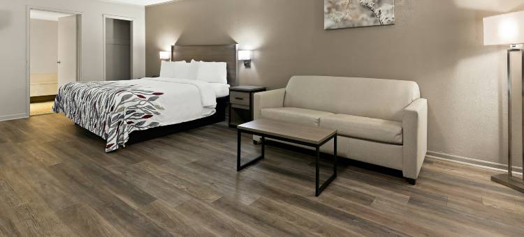 北卡罗来纳门罗红屋顶套房酒店(Red Roof Inn & Suites Monroe, NC)图片