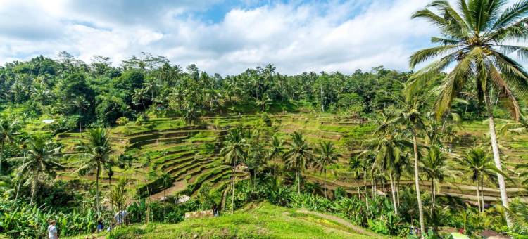 巴厘岛乌布卡娅内穆雅度假村(KajaNe Mua at Ubud Bali)图片