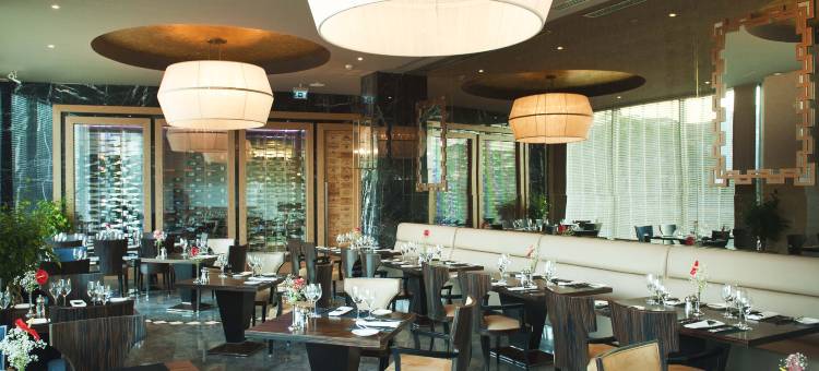伊斯坦布尔佩拉丽笙酒店(Radisson Blu Hotel, Istanbul Pera)图片