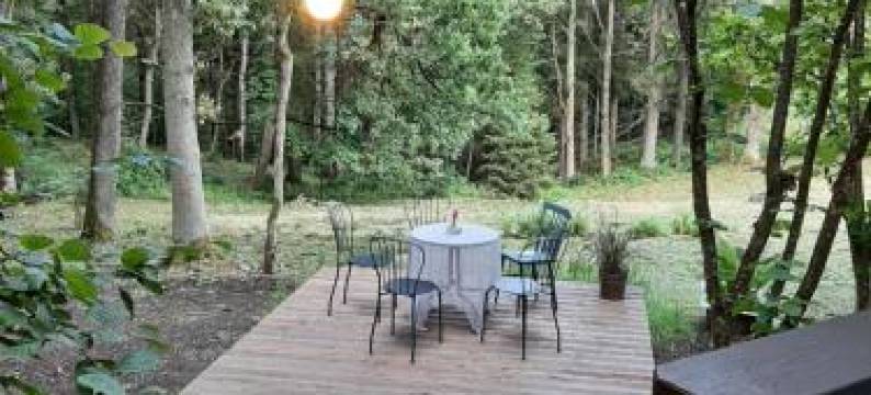 Mošķu Pirts meža māja图片