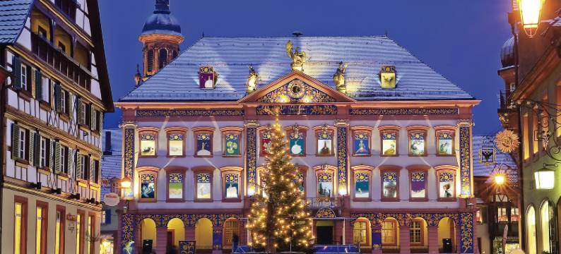 奥芬堡智选假日酒店(Holiday Inn Express OFFENBURG by IHG)图片