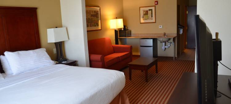 智选假日套房酒店阿马里洛南(Holiday Inn Express & Suites Amarillo South)图片