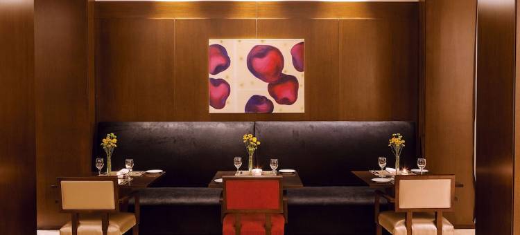 NH布宜诺斯艾利斯城市酒店(NH Buenos Aires City)图片