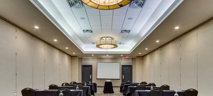 斯汤顿假日酒店及会议中心(Holiday Inn Staunton Conference Center)图片