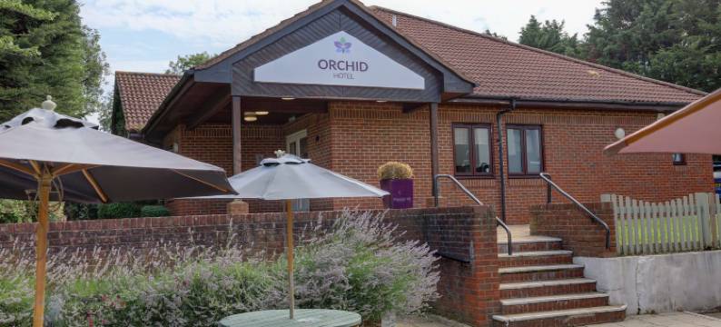 埃普瑟姆Sure Hotel Collection by Best Western兰花(Orchid Epsom, Sure Hotel Collection by Best Western)图片