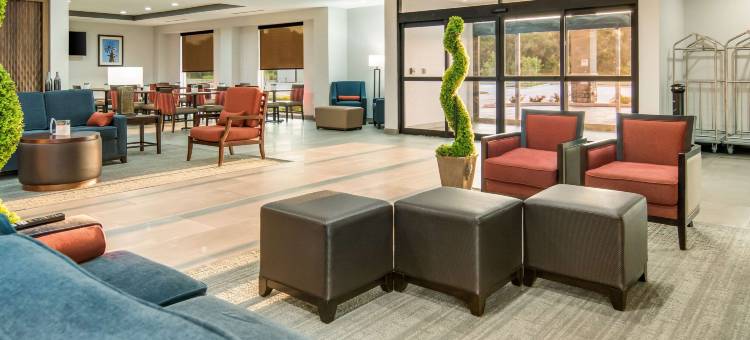 迪索托-达拉斯南舒适套房酒店(Comfort Suites DeSoto Dallas South)图片