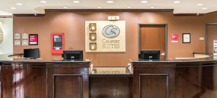 博蒙特I-10全套房舒适酒店(Comfort Suites Beaumont I-10)图片