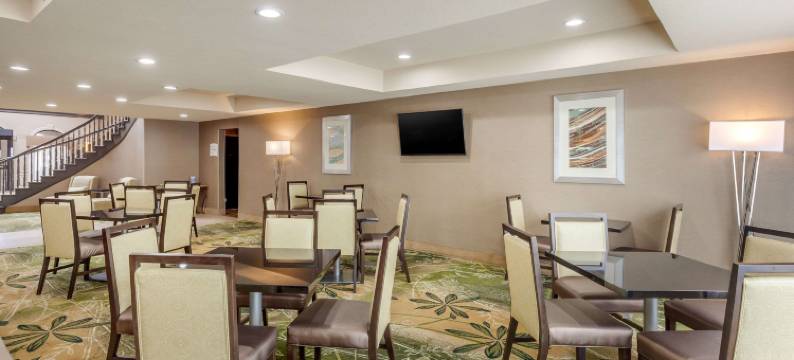 谢尔曼康福特套房酒店(Quality Suites Sherman)图片