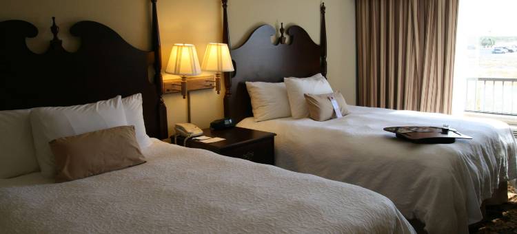 德克萨斯德里奥欢朋套房酒店(Hampton Inn & Suites Del Rio)图片